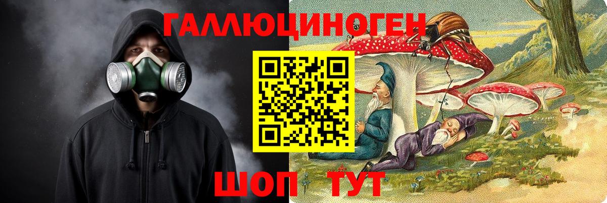 Галлюциногенные грибы Psilocybe Киржач