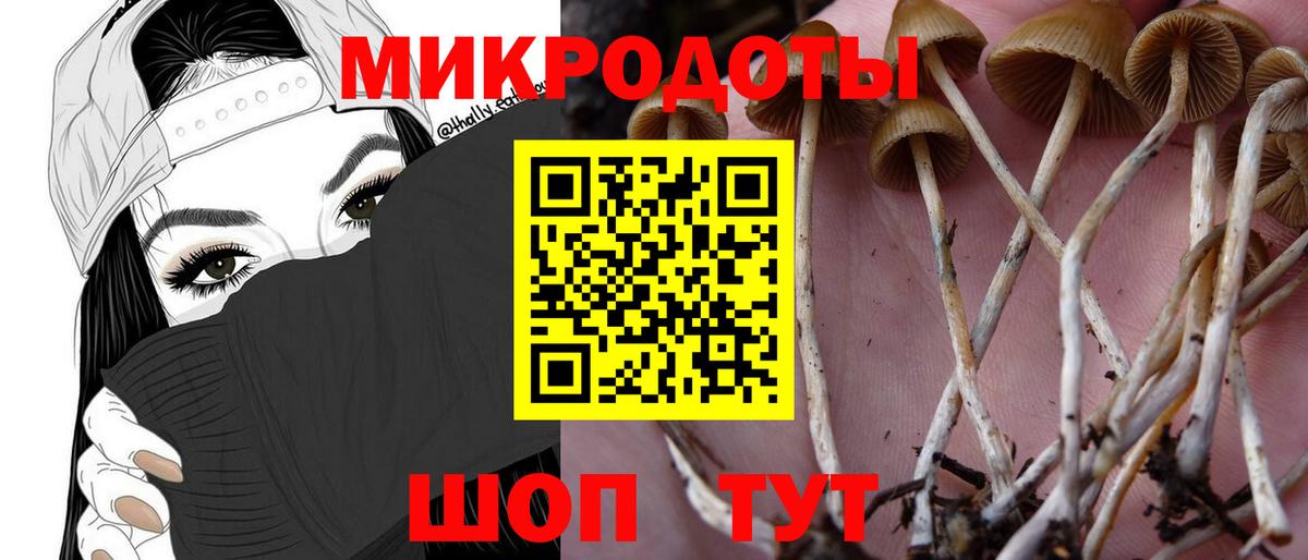 Псилоцибиновые грибы GOLDEN TEACHER  Псилоцибиновые грибы MAGIC MUSHROOMS  Киржач  Вход с VPN 